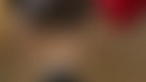 Vorstellung
