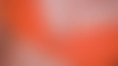 đ