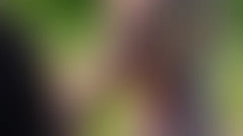 S******e Lutschen in der Sonne ist das beste