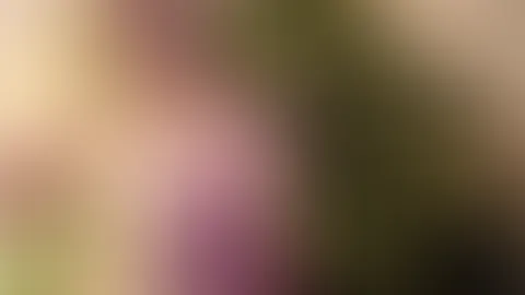 Lasst uns gemeinsam auf eine geile Reise gehen