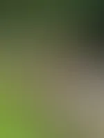 Ich habe heute schwer geschuftet und die verkleidung meiner gartenhütte gestrichen. Als Belohnung gab's später eine schöne Füllung im nahegelegenen Waldstück.er hat mir einen schönen C******e verpasst