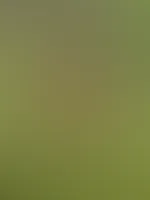 Das schöne Wetter genießen 😜