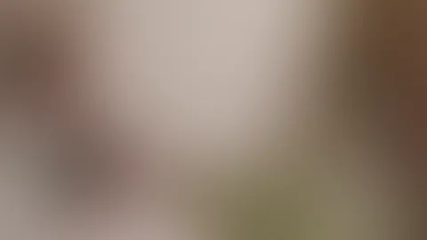 Erst mit Bilder Ihn auf gegeilt und zum Mittag habe ich Ihn dann einen geblasen. Und die kleine Sau hat mir ans Kinn und auf meine dicken Titten gespritzt😈🤤🔥
