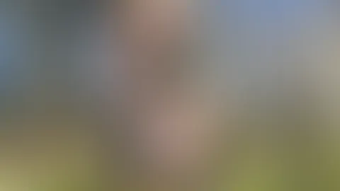 Lust auf mehr?