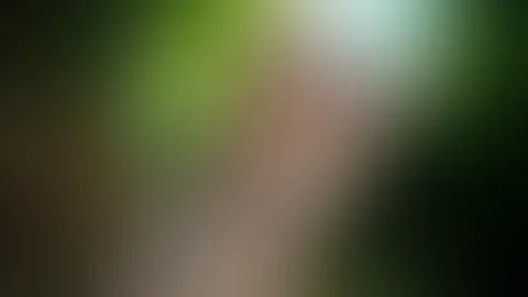 Nur ein kleiner Spaziergang, eskaliert trotzdem đđ
