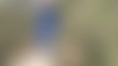 Wie ich auf diesem Baumstrunk erwischt wurde