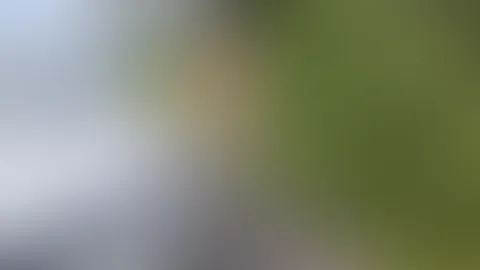 Beim Ausflug Blank am Auto gef**kt und reingespritzt!!!!!!!!!!