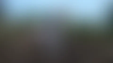 🔥🔥🔥🔥