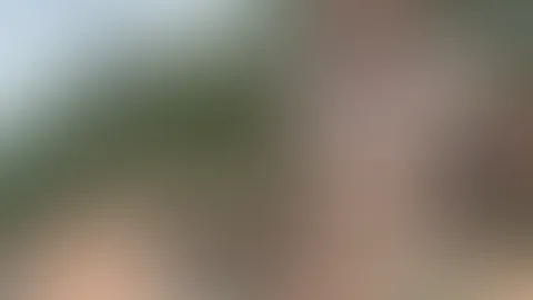 Morgens in Thailand, da kann Frau schon mal geil werden 😛(Video 1:59min)