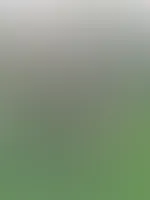 Schönen Start in die Woche đđ