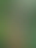 Ich liebe es S*x im freien zu haben, du auch? đ„”