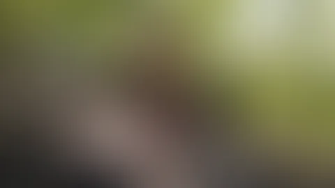 😜😜😜