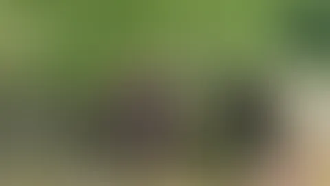 Verboten. Öffentlich. Unwiderstehlich.