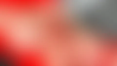 Ab jetzt täglich live