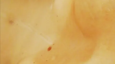 Hooray for Boobies đđđ