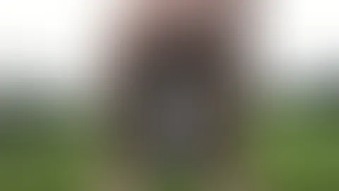 Spiel die EM mit Mir!