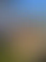 Frühstück auf dem Balkon?