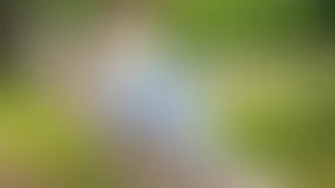 😊