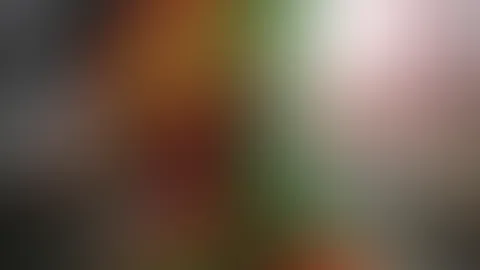Weihnachtshooting Teil 1 đđ
đ