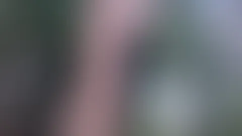 Popo wackeln mit analplug schwänzschen