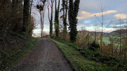 Schnappschüsse beim spazieren
