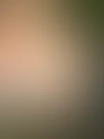 Die letzen Sonnenstrahlen genieĂen đ