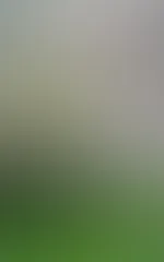 Das restliche schöne Sommerwetter genutzt und ein paar geile Bilder draußen gemacht 🤫