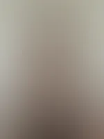 đđ„ Feed-Edition đ„đ
