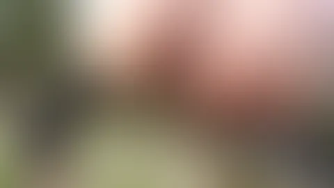 Natursekt Compilation - 9 geile P**svideos von mir