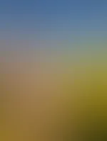 Guten Morgen đ So der Raps ist jetzt auch hier an der Ostsee so gut wie verblĂŒht, deswegen gibt's jetzt noch ein letztes Rapsbild đ„ Schade eigentlich đ Habt einen schönen Tag â€ïž