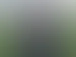 đ«¶đ»