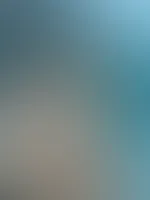 Need : professionellen einseifer 🤭
