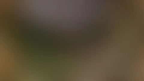Ich möchte den Sommer wieder haben