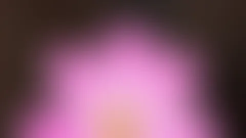 möchtest du das Original sehen? Dann melde dich