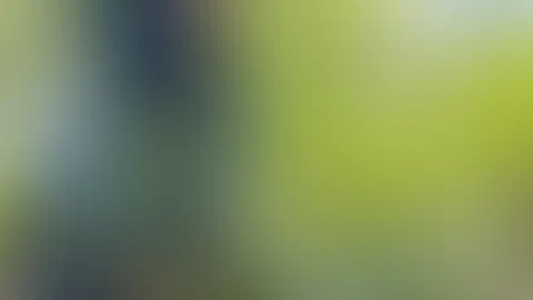 P**sen in der freien Natur