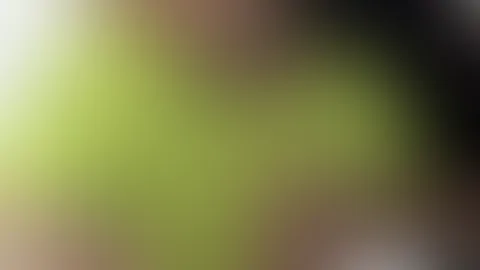 Eine schöne Woche wünsche ich dir 💛