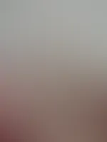 Lust auf ein đ« KrĂ€nzchen đ°? đ© Feed-Edition đ©