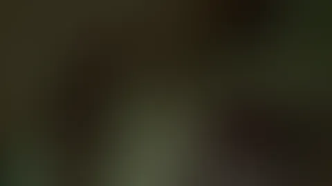 Hasis auf was fĂŒr videos habt ihr denn lust?đ€đ