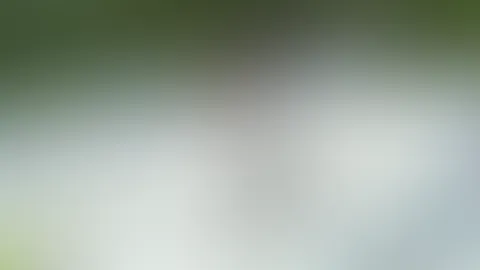 Was gibt es geileres als Mädels im Schlamm beim catchen. Ich bin nicht nur die Jüngste, sondern eindeutig auch die Unerfahrenste und ich gebe mir alle Mühe mitzuhalten.