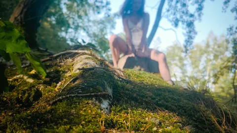 Ein Stiller See mitten im Wald.