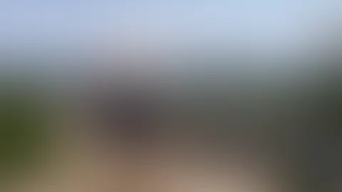 P**sen „on Tour“ Willkommen zu meinen erste P**sen „on Tour“ Clips wo ich euch mitnehme auf meine Touren auf Mallorca. Dort bekommt ihr dann an diversen Locations geile P**s-Einblicke „on Tour“. Schö