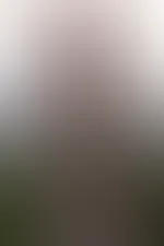 Neues Set mit 25 Bildern online, auch oben ohne