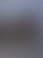 Deine kleine P***y , Schnurr đ