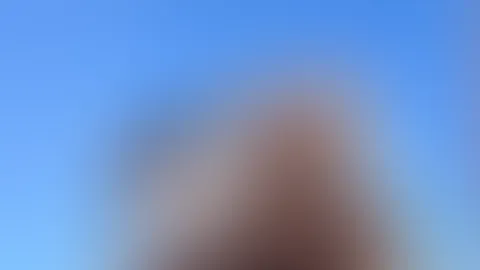 Ups, ich glaube, ich habe etwas vergessen.đ