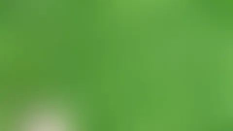 Kleiner Spaziergang durch meinen Garten ☺️ leider waren die Nachbarn zu laut, Darum ohne Ton …