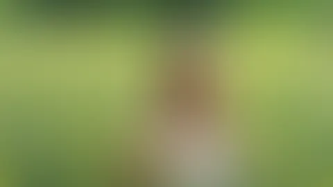 sexy im Rapsfed