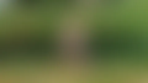 Sonnige Grüße mitten aus dem Grünen... 🔥🌿