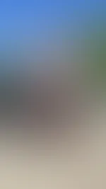 Tiefe Einblicke 👀 ....