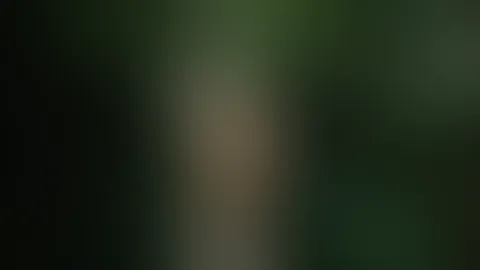 🔥🌿🍃🌱