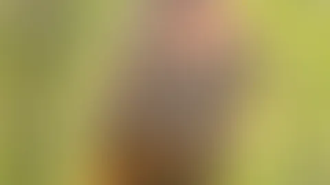 Hoch das Röckchen rein das Stöckchen! Hast du Wünsche Fantasien oder was anderes? Schreib mir eine private Nachricht und ich werde dir deine versautesten Wünsceh erfüllen hier!